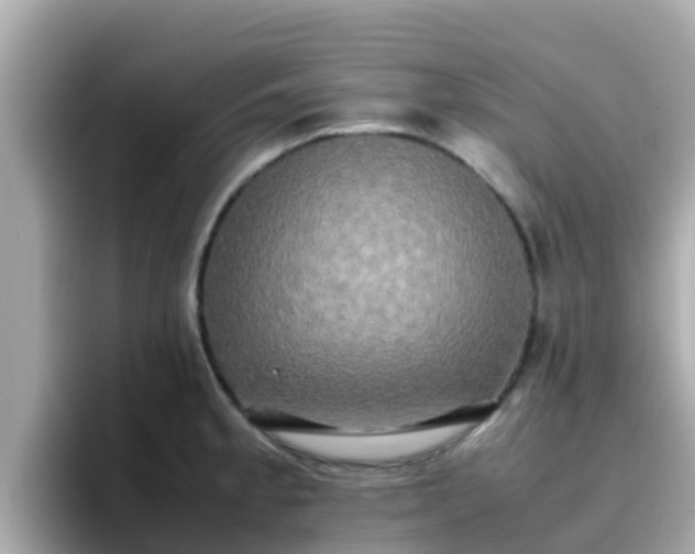 X0000096671189200802121145