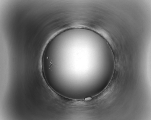 X0000096671191200802121145