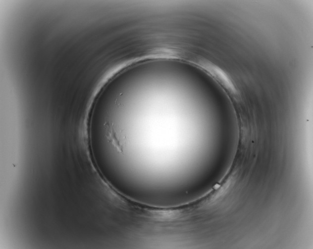 X0000096671192200802121145