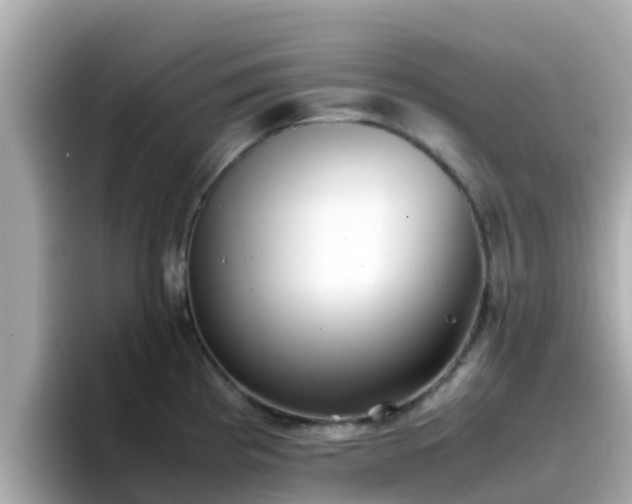 X0000096671193200802121145
