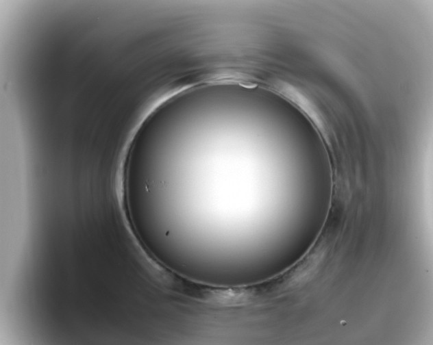 X0000096671195200802121144