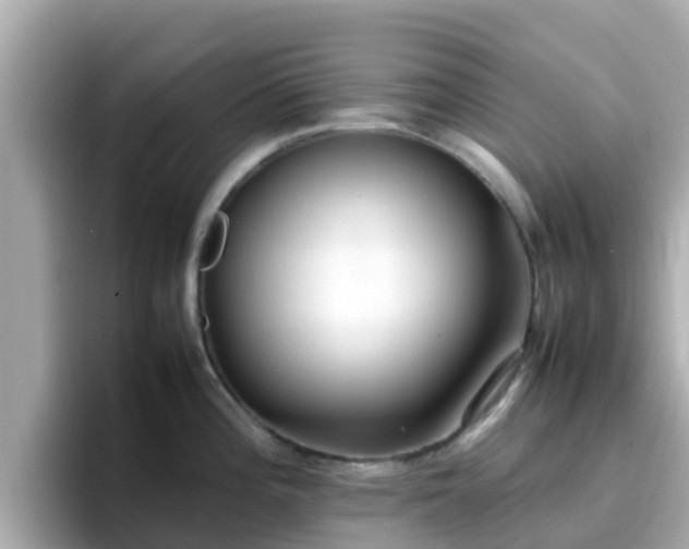 X0000096671196200802121144