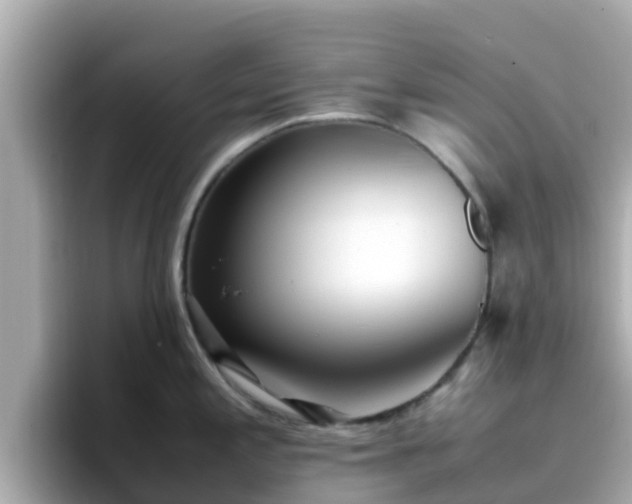 X0000096671197200802121144