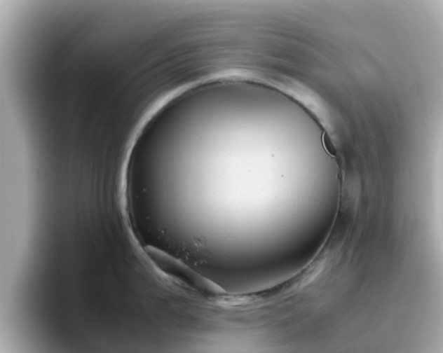 X0000096671199200802121144