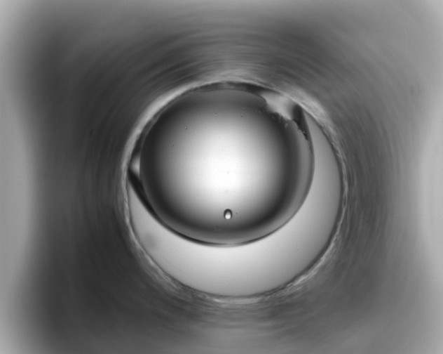X0000096671200200802121144