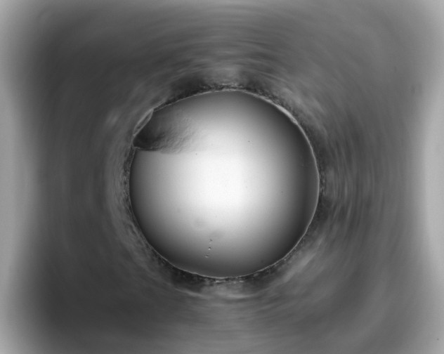 X0000096671201200802121144