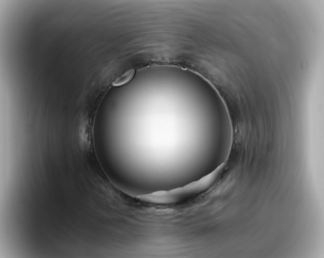 X0000096671202200802121144