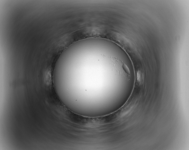 X0000096671203200802121144