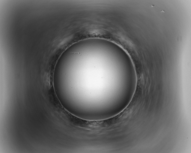 X0000096671205200802121144