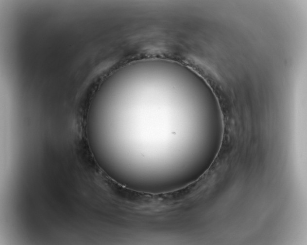 X0000096671207200802121144