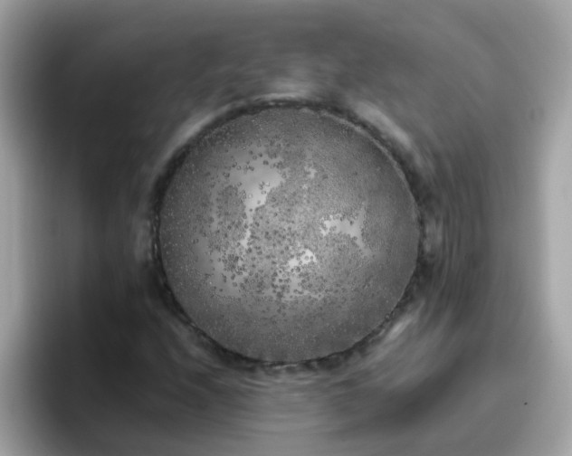 X0000096671208200802121144
