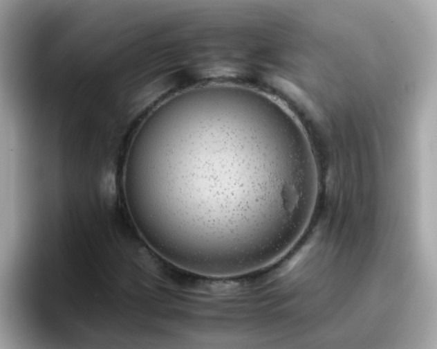 X0000096671209200802121144