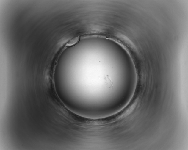 X0000096671210200802121144
