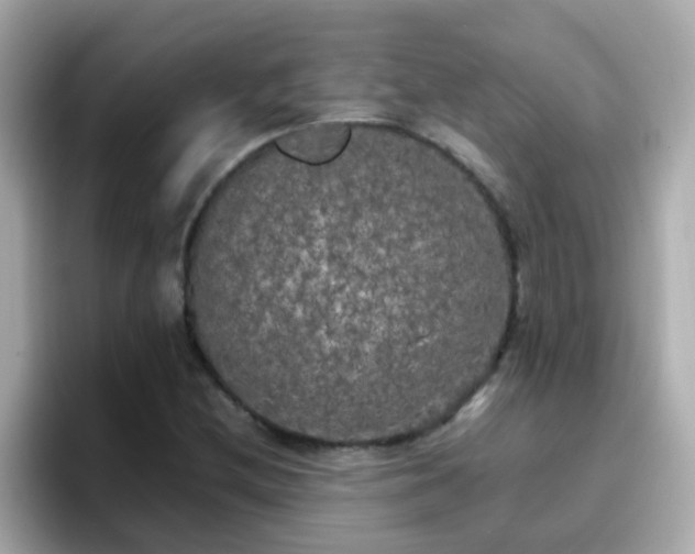 X0000096671212200802121144