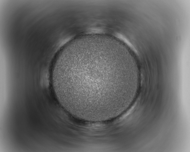 X0000096671213200802121144