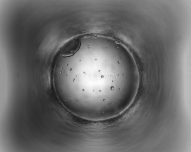 X0000096671214200802121144
