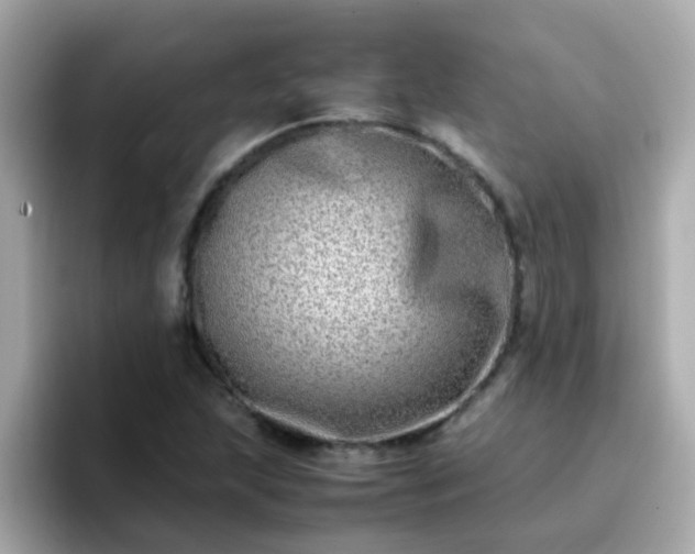 X0000096671215200802121144