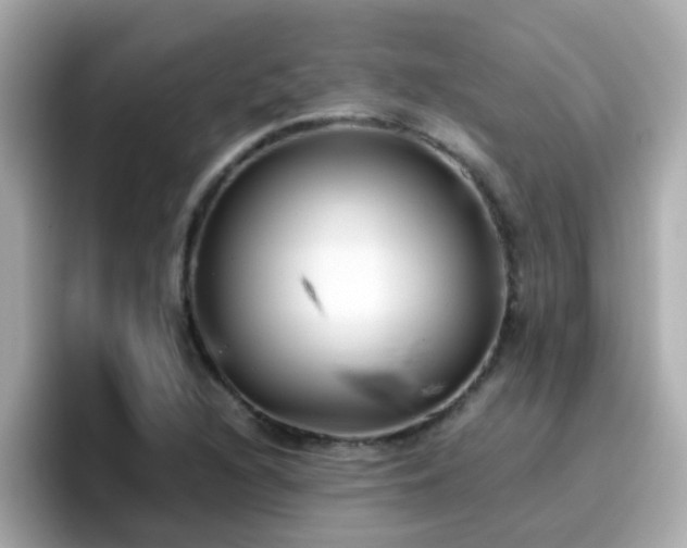 X0000096671216200802121144