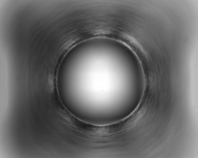 X0000096671217200802121144
