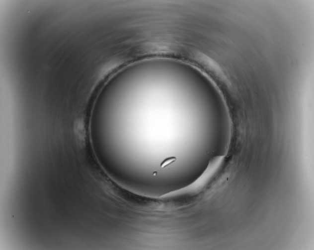 X0000096671218200802121144