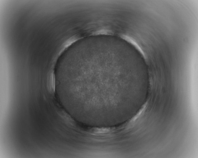 X0000096671219200802121144