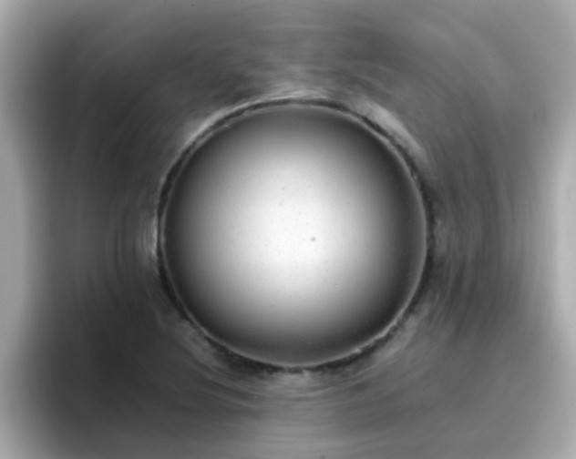 X0000096671220200802121144