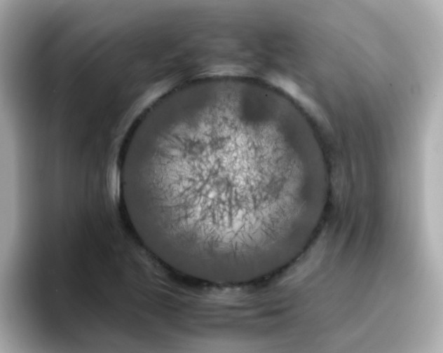 X0000096671221200802121144