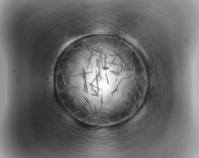 X0000096671222200802121144