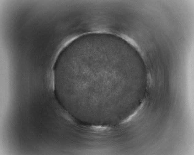 X0000096671223200802121144