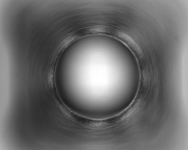 X0000096671225200802121144