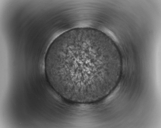 X0000096671226200802121144