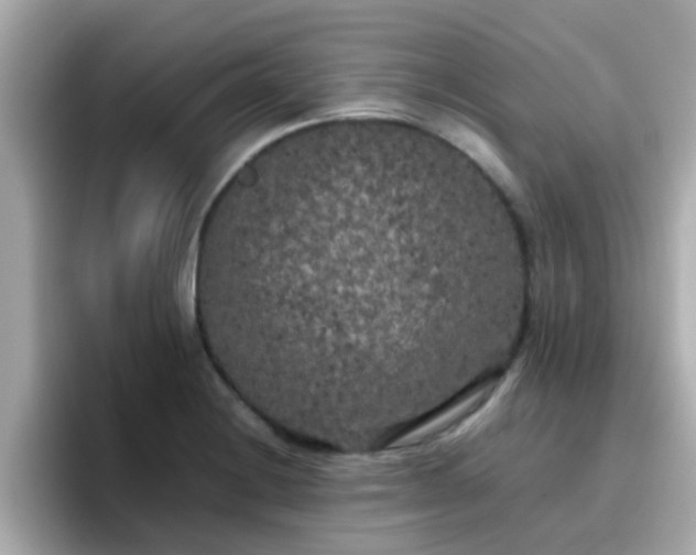 X0000096671228200802121144