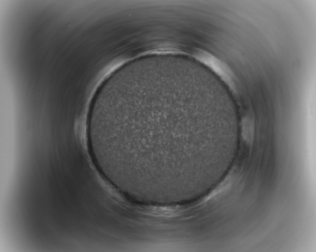 X0000096671229200802121144