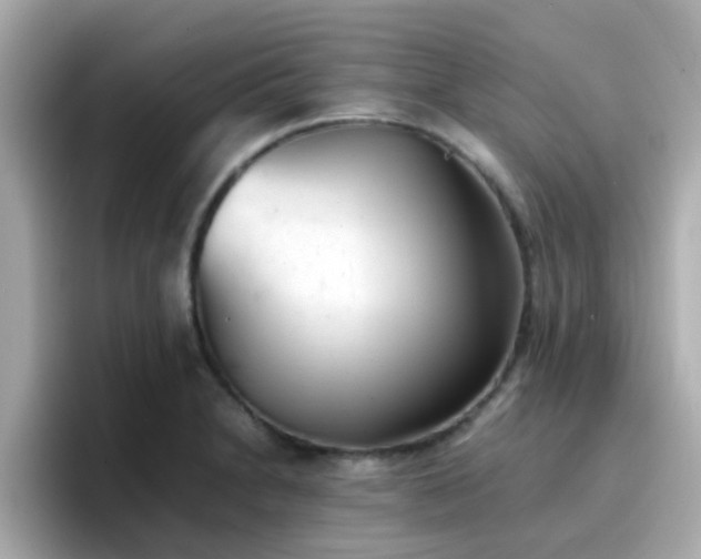 X0000096671230200802121144
