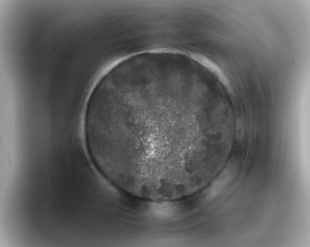 X0000096671231200802121144