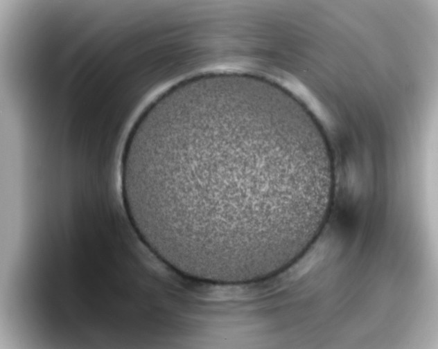 X0000096671232200802121144