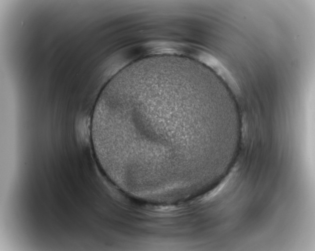 X0000096671233200802121144