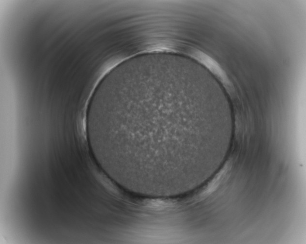 X0000096671234200802121144