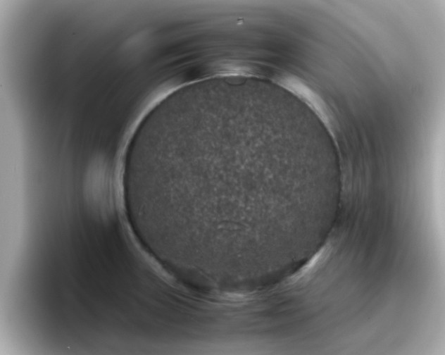 X0000096671235200802121144