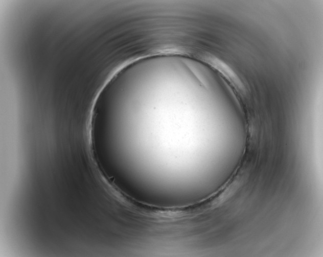 X0000096671236200802121144