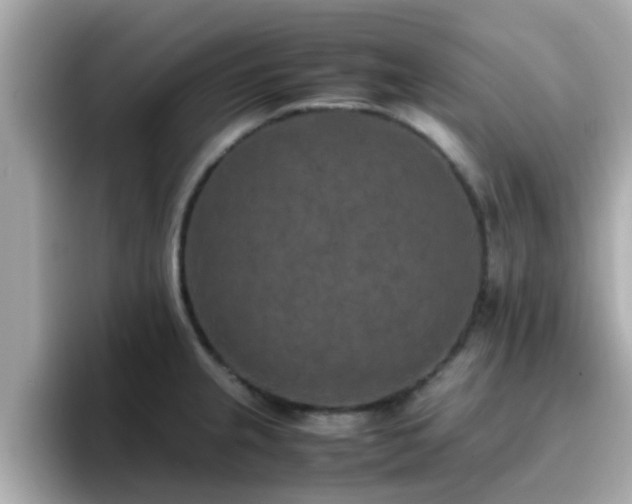 X0000096671237200802121144