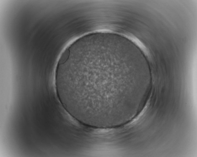 X0000096671240200802121144