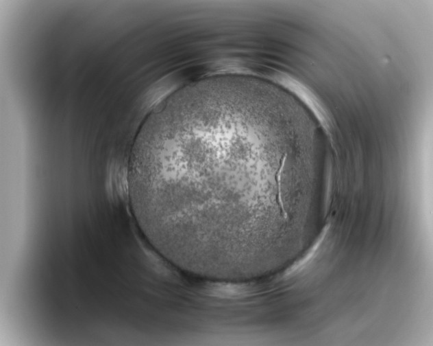 X0000096671241200802121144