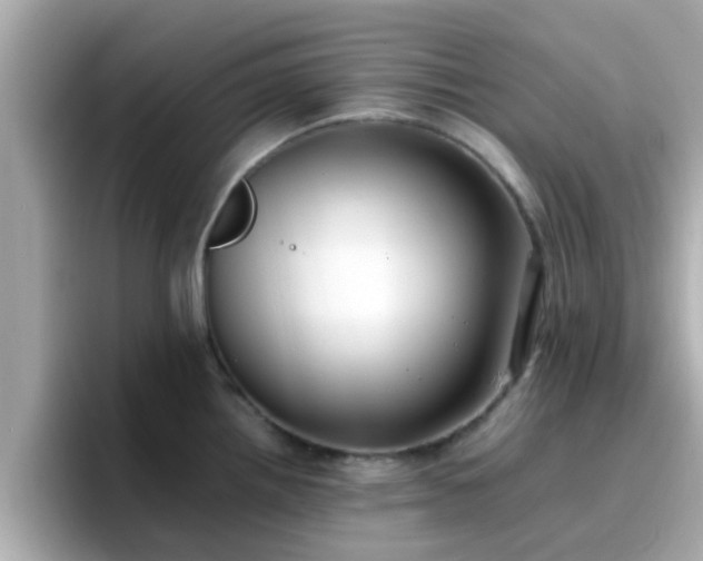 X0000096671242200802121144