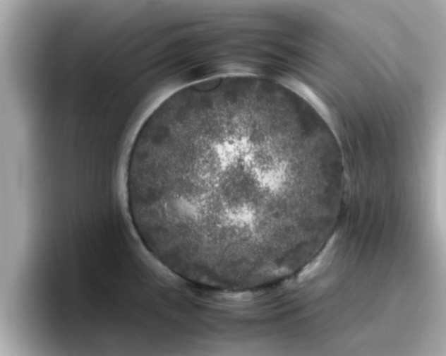 X0000096671243200802121144