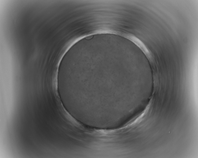 X0000096671244200802121144