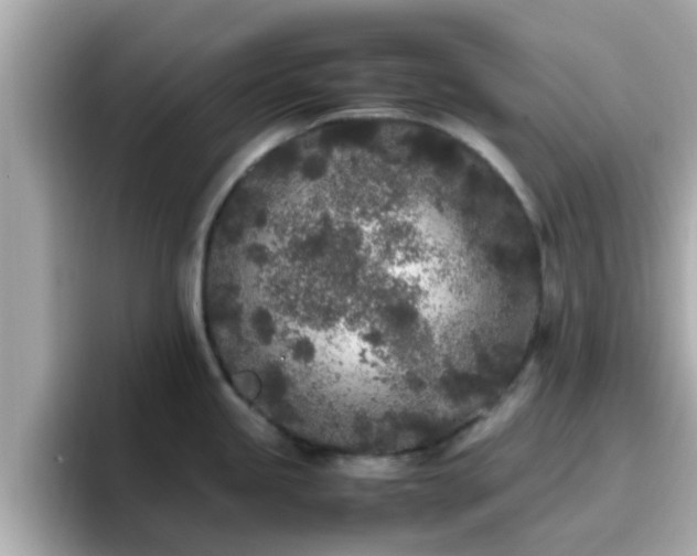 X0000096671245200802121144