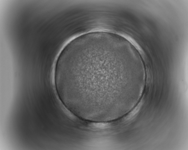 X0000096671246200802121144
