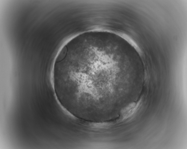 X0000096671247200802121144