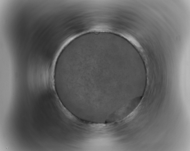 X0000096671248200802121144